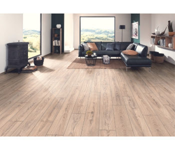 mushroom_carpenter_oak_room